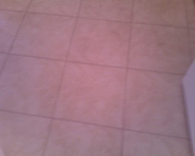 Building Photo - 1636 Boulder Creek Ct