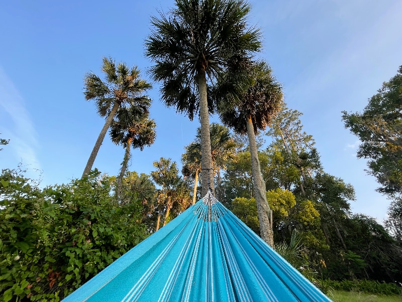 Building Photo - 3481 Whitner Way