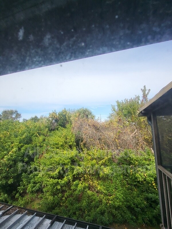 Building Photo - 512 E Curlew Pl