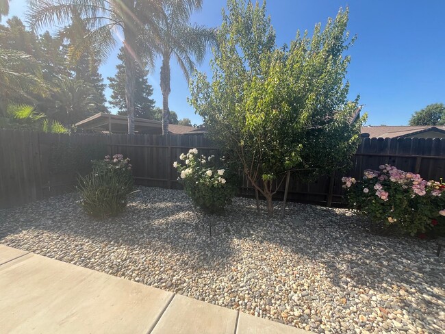 Building Photo - Charming 3/2 Home in Woodland-$500.00 OFF ...
