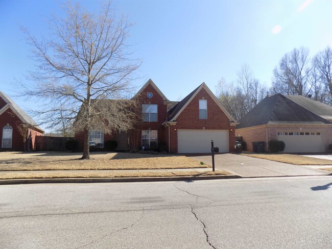 Building Photo - 2598 Plum Creek Dr