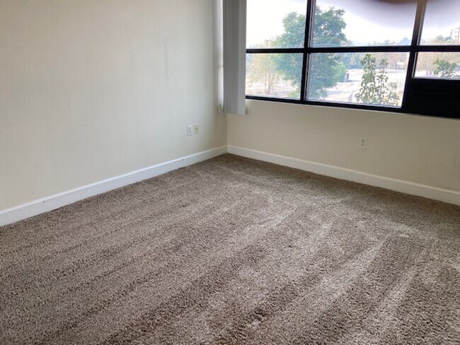Building Photo - Newly Remodeled Downtown Stunner
