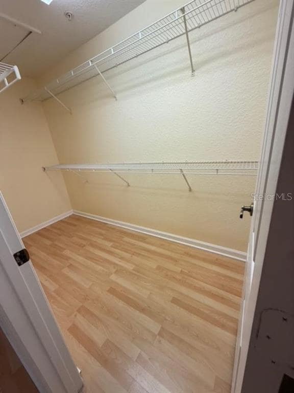 Building Photo - 3396 Shallot Dr
