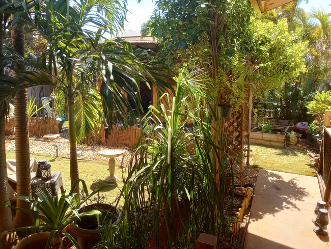 Front yard is a Tropical, peaceful Oasis. faux grass..lots of Palms, Plumeria, Hibiscus, Agave, Ti. - 281 Kaikea St