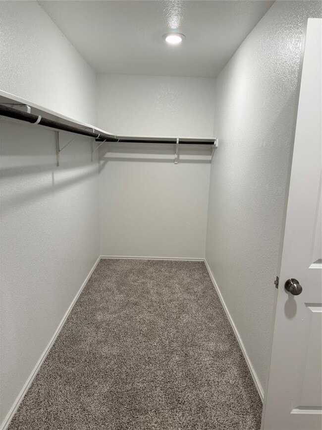 Building Photo - 3301 Dusted Daisey St