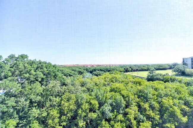 Building Photo - 900 Cove Cay Dr