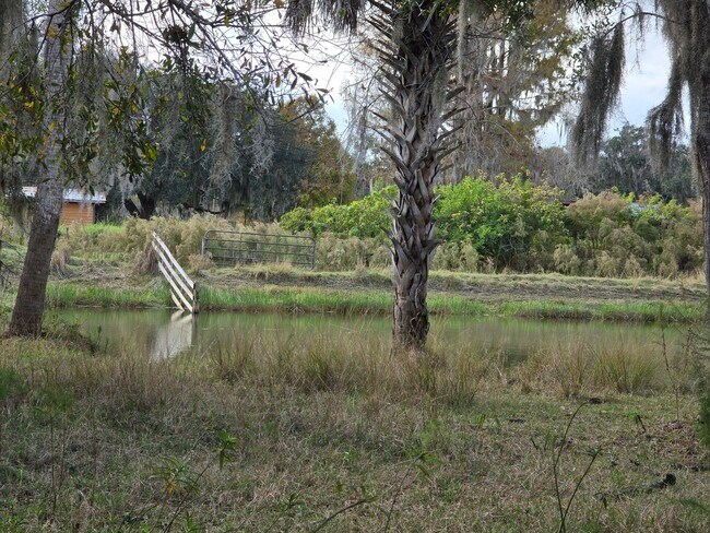 Building Photo - Rarely Available 3 bed/ 2 bath in Hidden River in Myakka