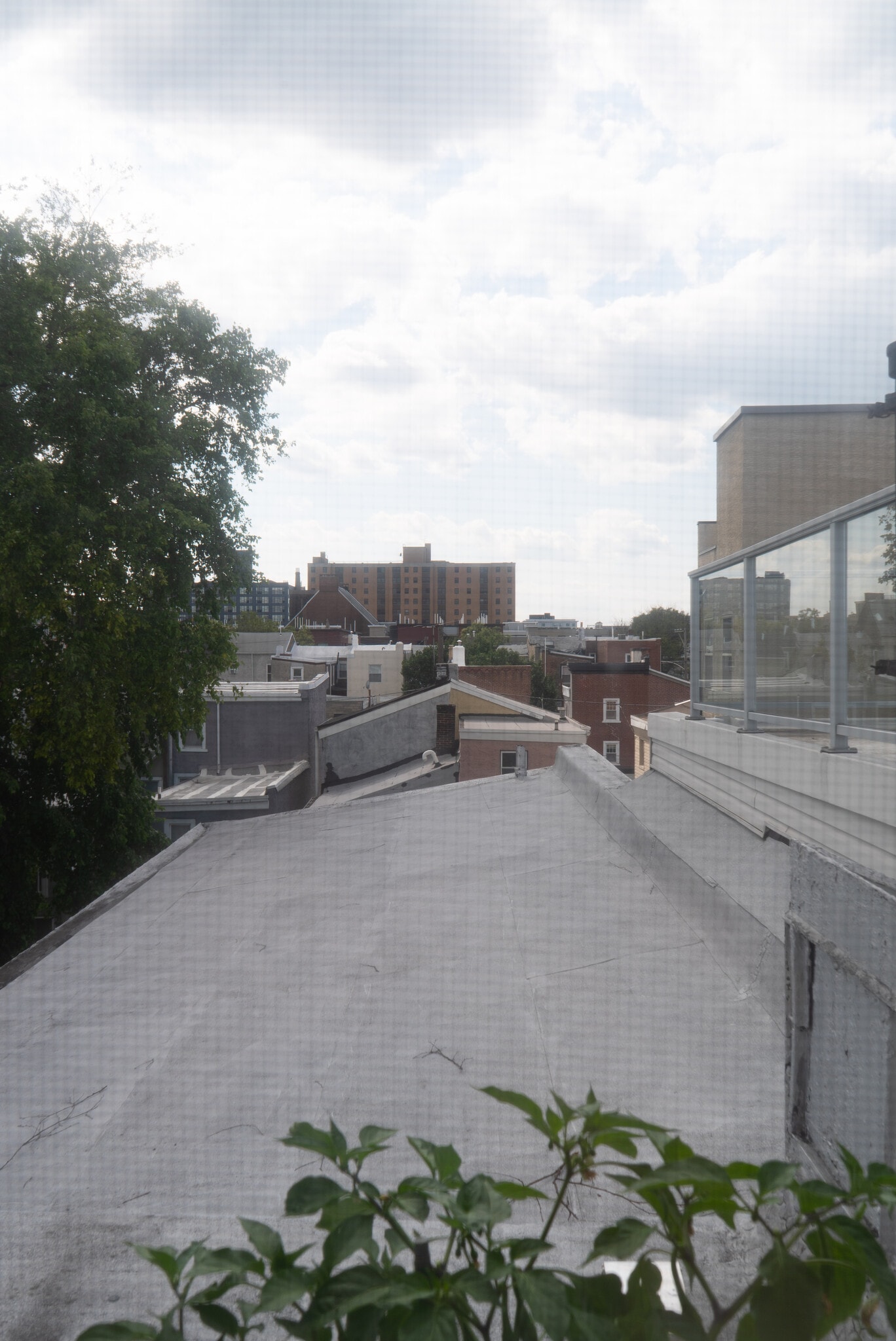 View from second bedroom - 988 N 5th St