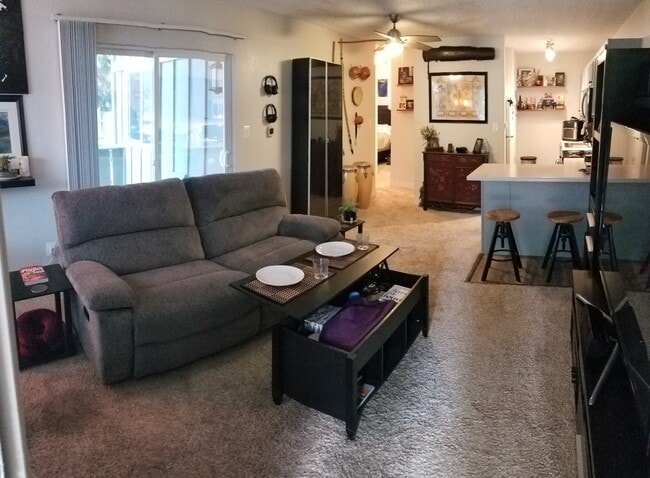 Looking In - 857 S Van Gordon Ct