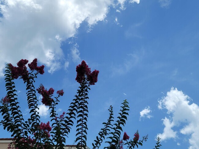 Building Photo - 1650 N 42ND Cir