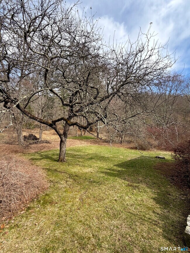 Building Photo - 310 Valley Rd