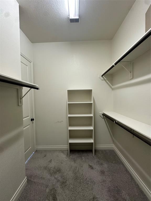 Building Photo - 3319 Sky Run Ct