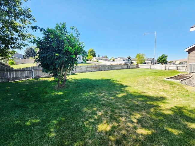 Building Photo - Single Story Home w/Huge Fenced Backyard!