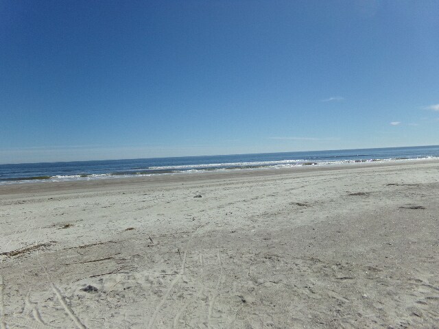 Building Photo - 101 Patrick Dr