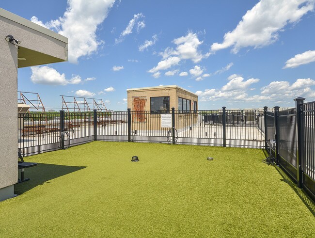 Rooftop Dog Park - The Storehouse Lofts