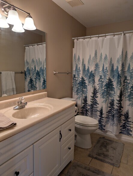 Full hall bath upstairs - 914 Murrell Rd