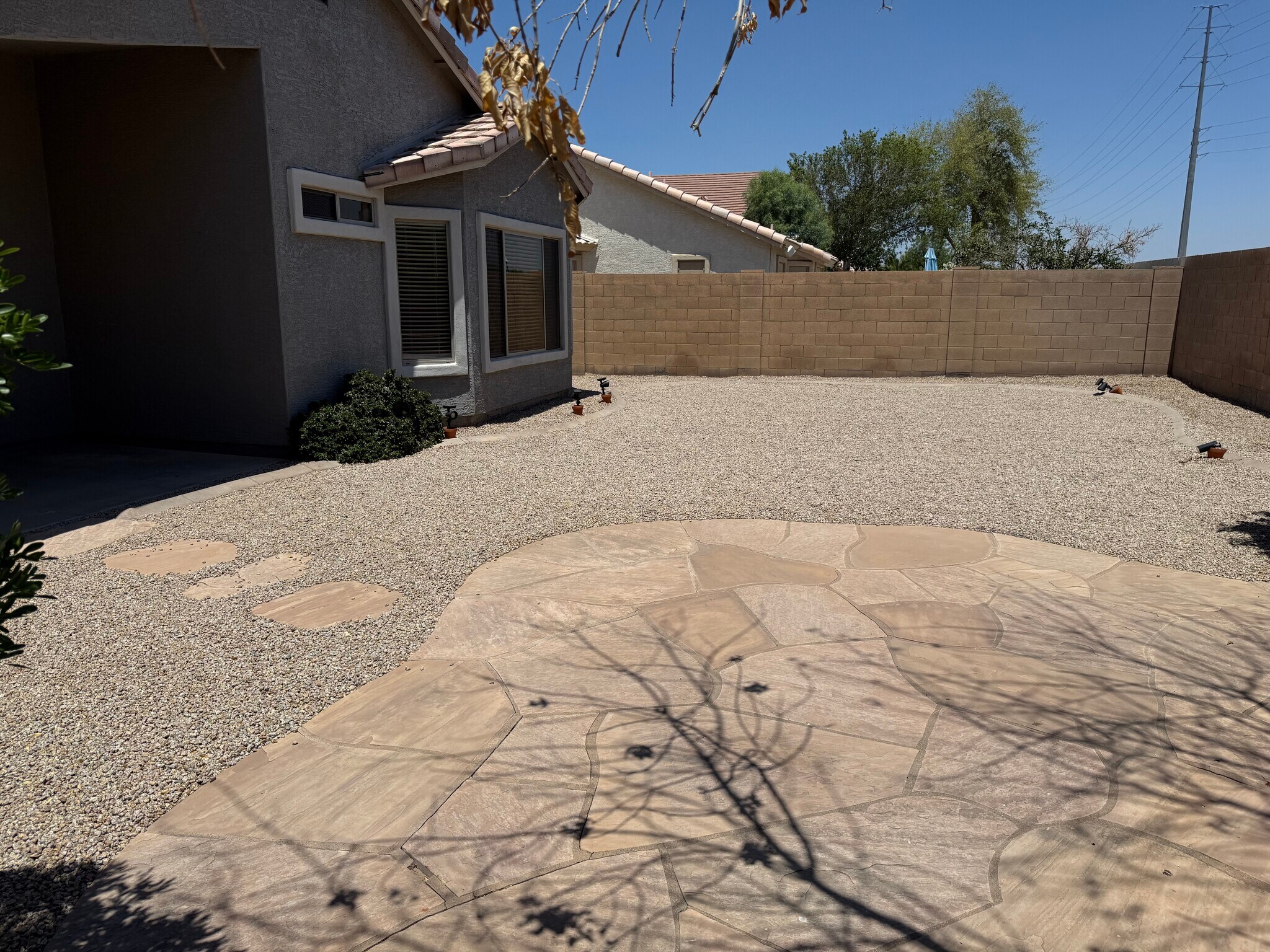 Backyard - 3793 S Joshua Tree Ln