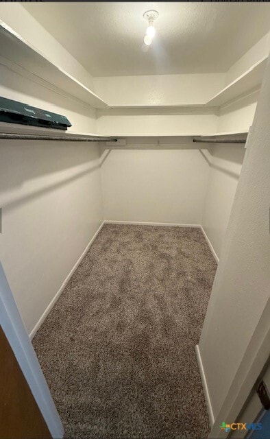 Building Photo - 302 Palmwood Dr