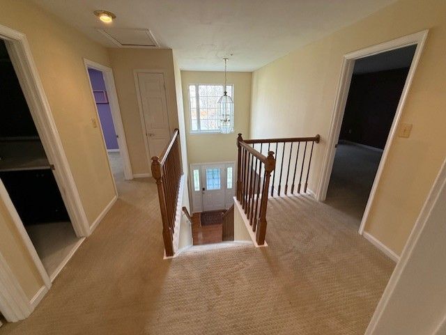 Building Photo - 101 Shady Creek Ct