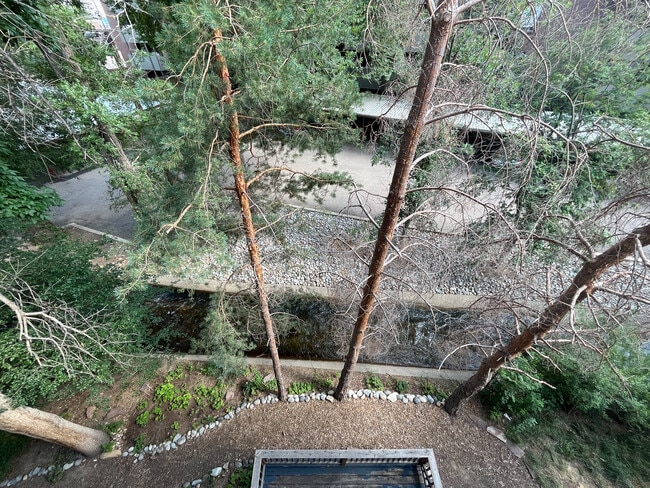 View From Deck - 1830 22nd St