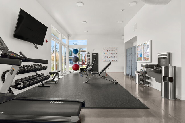 Gym - Magnesium Village