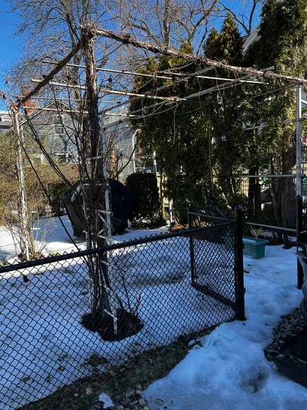 Yard - 130 Sutton St
