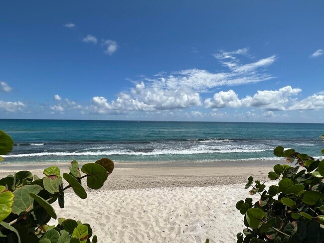 Building Photo - 5480 N Ocean Dr