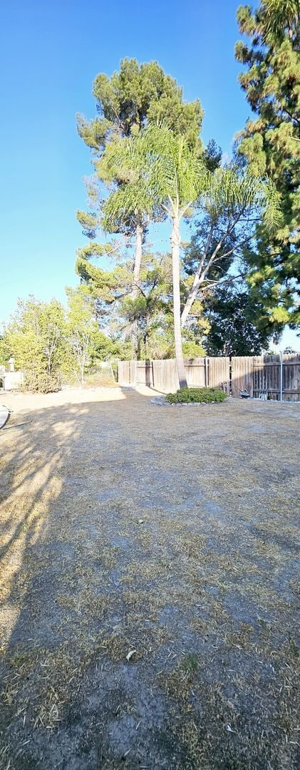 Building Photo - Beautiful 5BR/4BA Home with Large Yard & P...