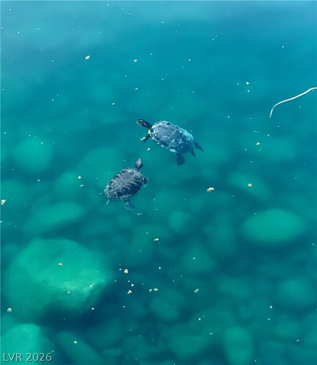 Building Photo - 3151 N Soaring Gulls Dr