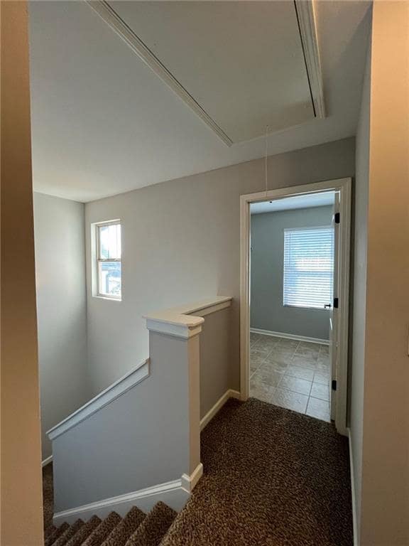 Building Photo - 106 Gunier Cir