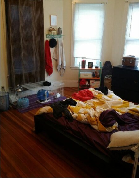 Building Photo - 65 Hillside St