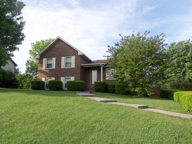 Building Photo - Christiansburg, 4 BR / 2 BA, Available Lat...