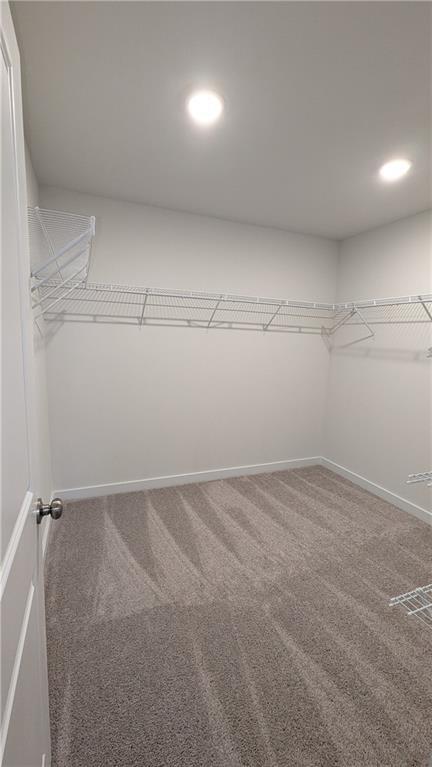 Building Photo - 1726 Harper Lily Ln