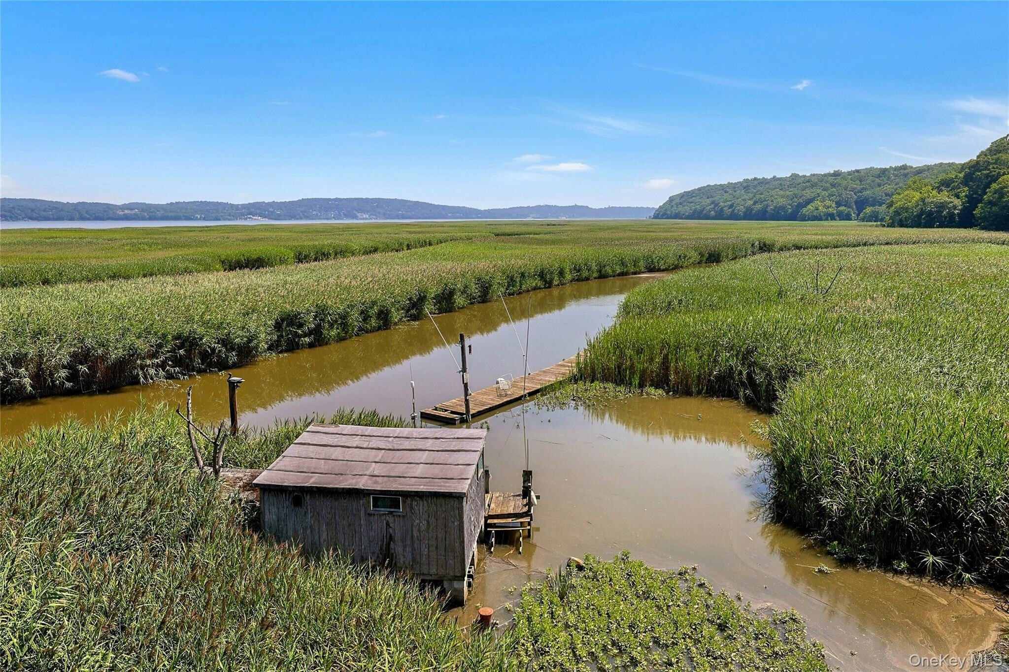 Building Photo - 93 Paradise Ave