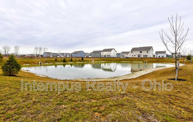 Building Photo - 1003 Beehive Grv