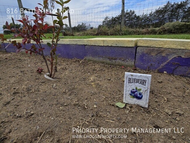 Building Photo - 3BR 2BA Single Family Home, Ft Defiance