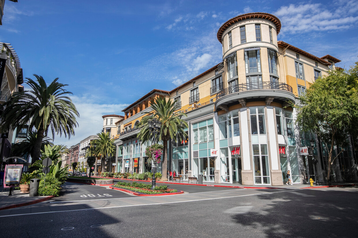 are dogs allowed in santana row town houses