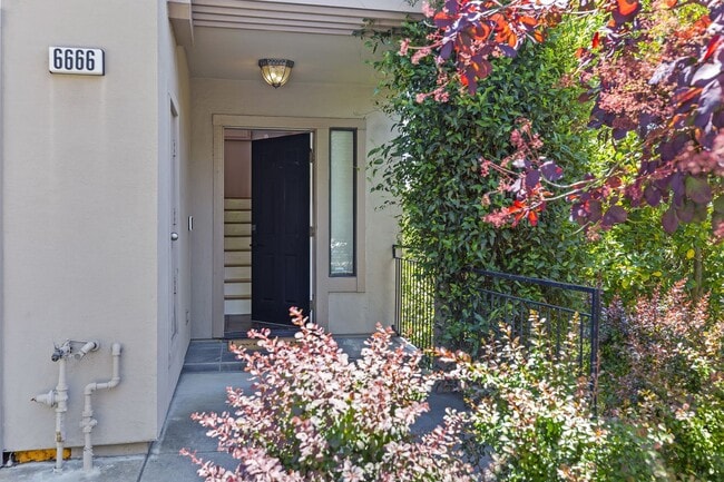 Building Photo - Spacious 4-Story Townhouse with Panoramic ...