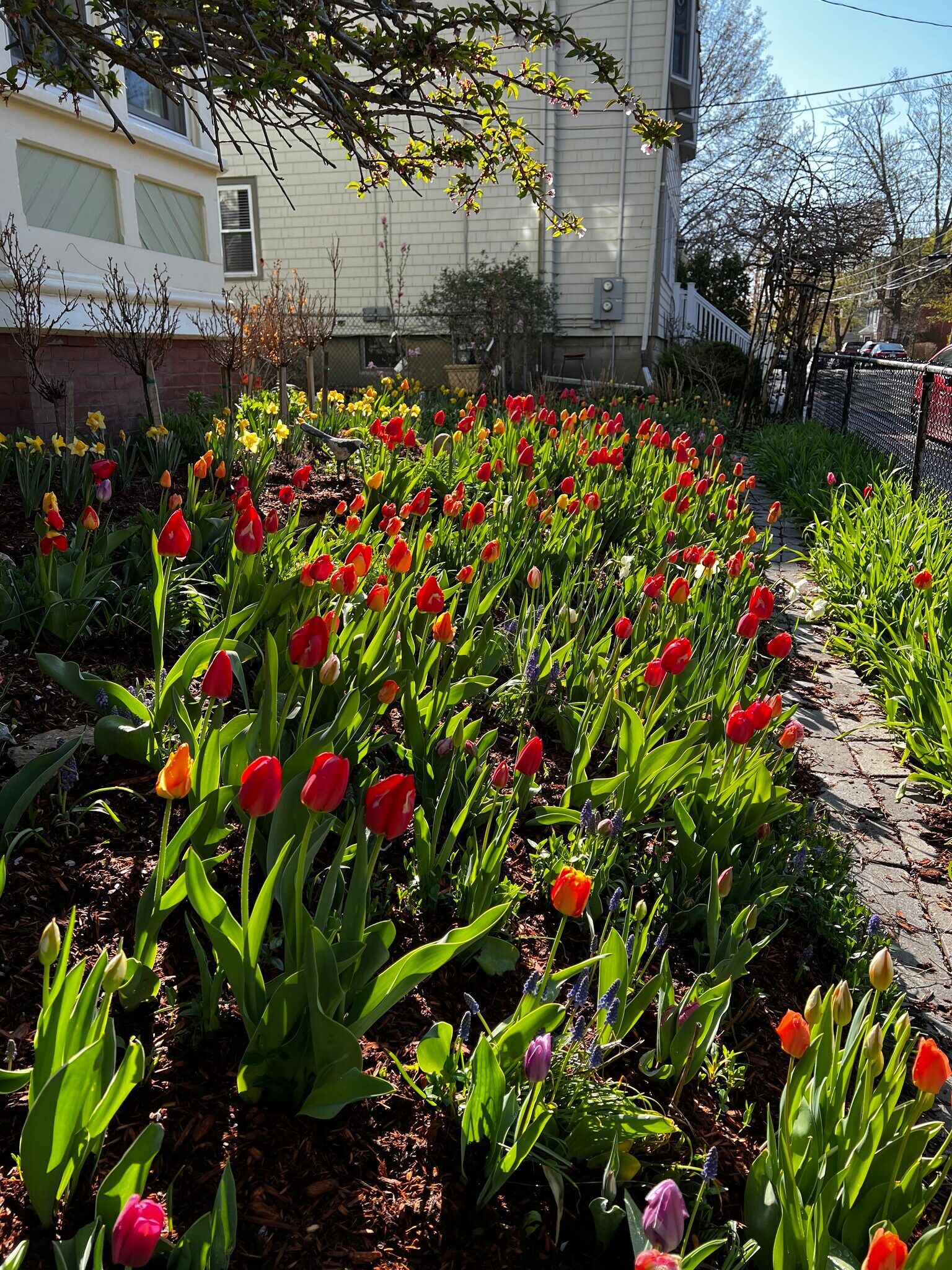 Building Photo - 105 Chestnut St