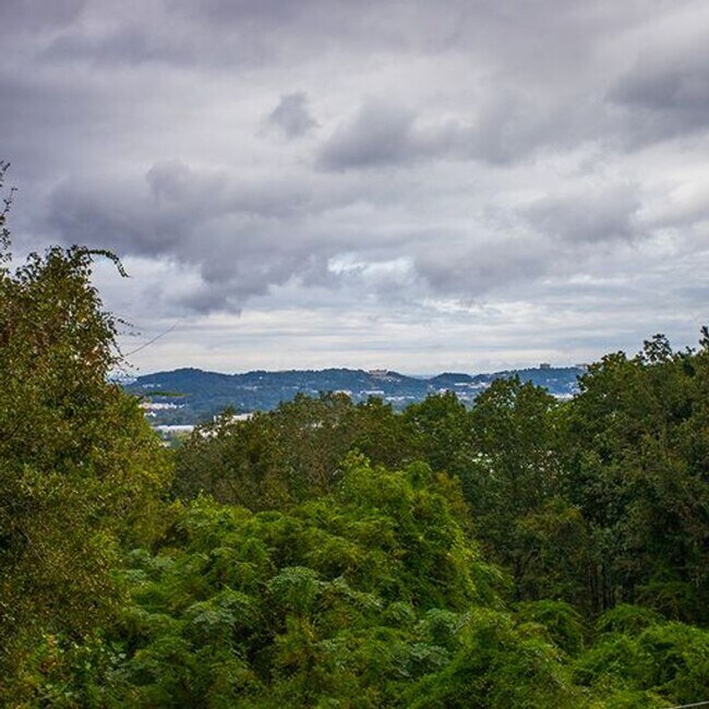 Building Photo - STUNNING!!! Four Bedroom two and a half bath home with a view!