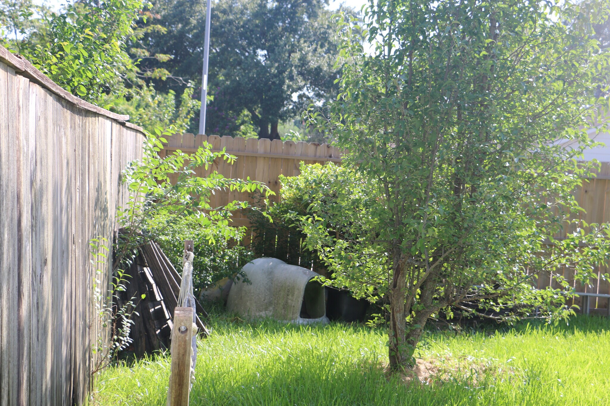 Building Photo - 446 Richvale Ln
