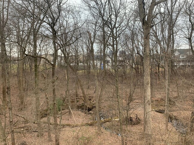 Building Photo - Spacious 3 Level Townhouse Backs to Trees
