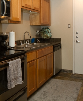 Efficiency Kitchen - 230 West Alabama Apartments