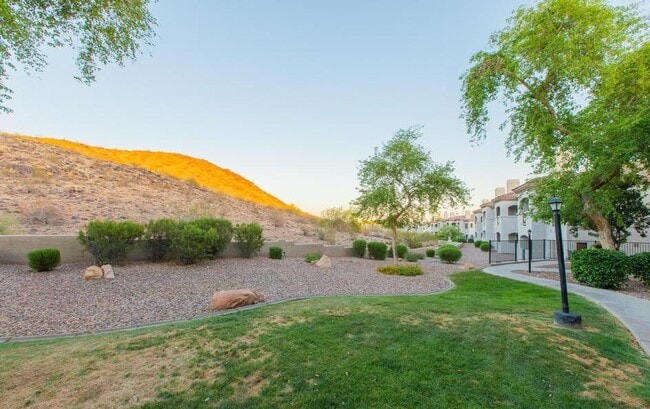 Building Photo - 3236 E Chandler Blvd