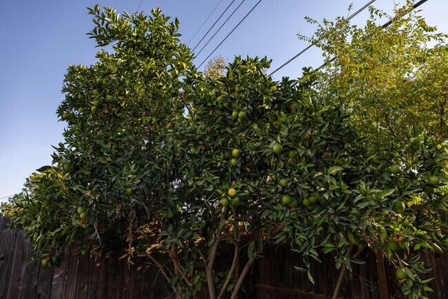 Building Photo - Resident Benefit Package Property