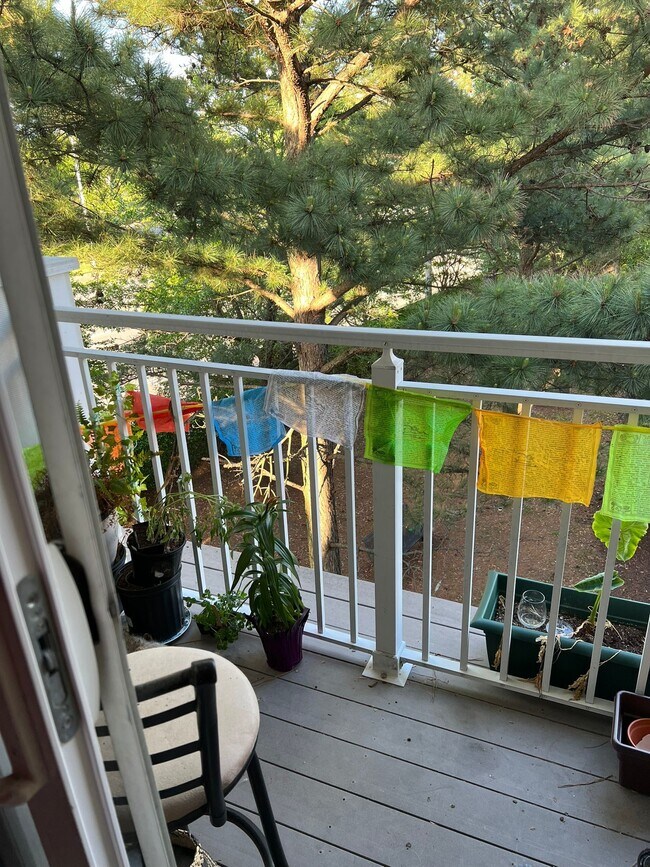 5304 Warminster Dr 5304 Warminster Dr Virginia Beach VA 23455