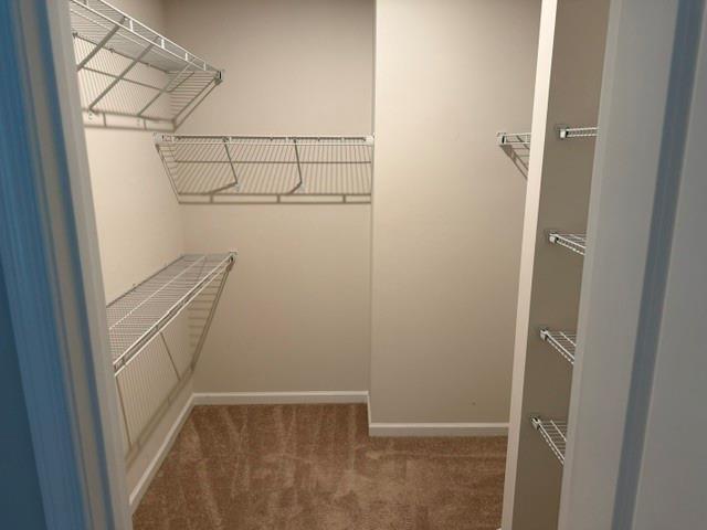 Building Photo - 3028 Olivetre Dr