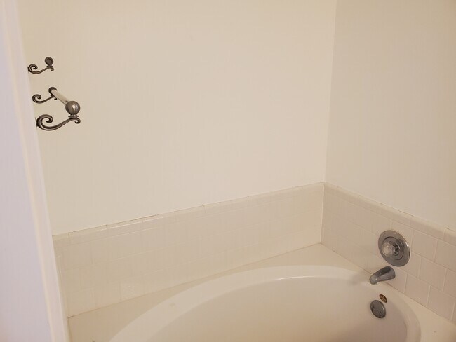 Master bathtub - 10838 Cliffton Forge Dr