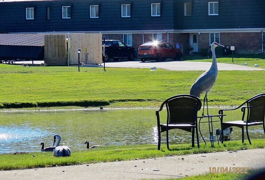Lots of wildlife - 1814 Colonial Village Way