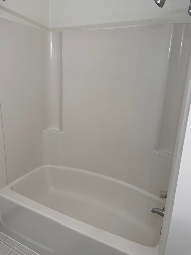 Master Bathroom - 256 Williams St